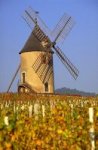 chambres hotes chateau Beaujolais 4 epis 69 Rhne Lantignie Morgon Regnie