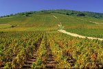 Vue du Beaujolais chambres hotes chateau Beaujolais 4 epis 69 Rhône Lantignie Morgon Regnie