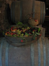 chambre hote chateau Beaujolais 4 epis 69 Rhne Lantignie Morgon Regnie